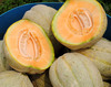 Pike muskmelon, bulk size: 14 g